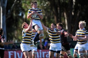 Cal Rugby