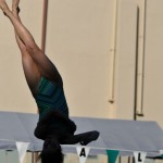 Diving 4